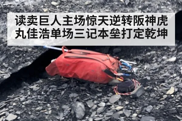 读卖巨人主场惊天逆转阪神虎 丸佳浩单场三记本垒打定乾坤